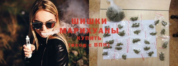 соль ск Ельня