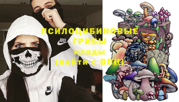 стаф Абдулино