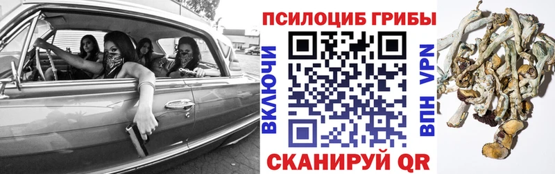 KRAKEN рабочий сайт Адыгейск Псилоцибиновые грибы MAGIC MUSHROOMS купить наркоту